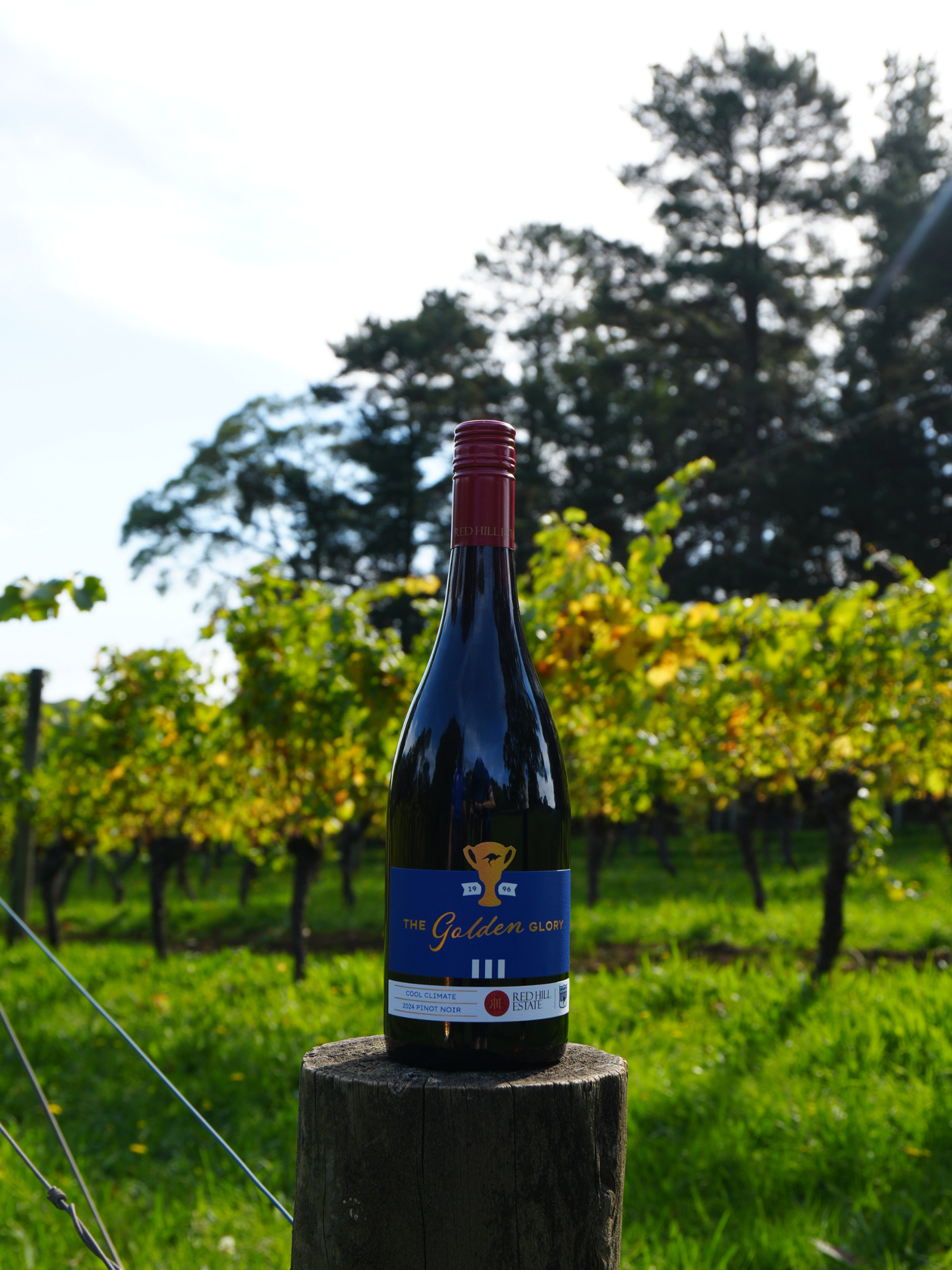 North Melbourne Football Club x Red Hill Estate Pinot Noir 2024