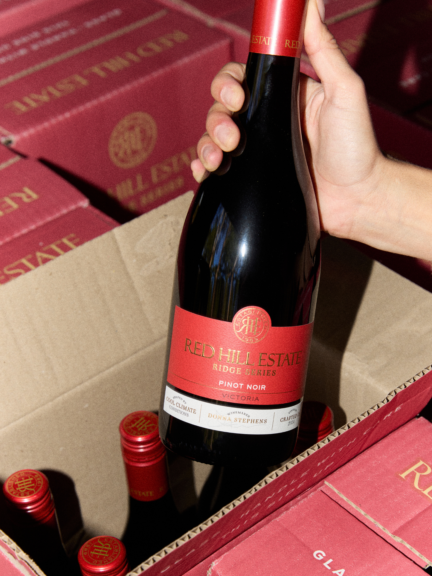 Ridge Series Pinot Noir 2024